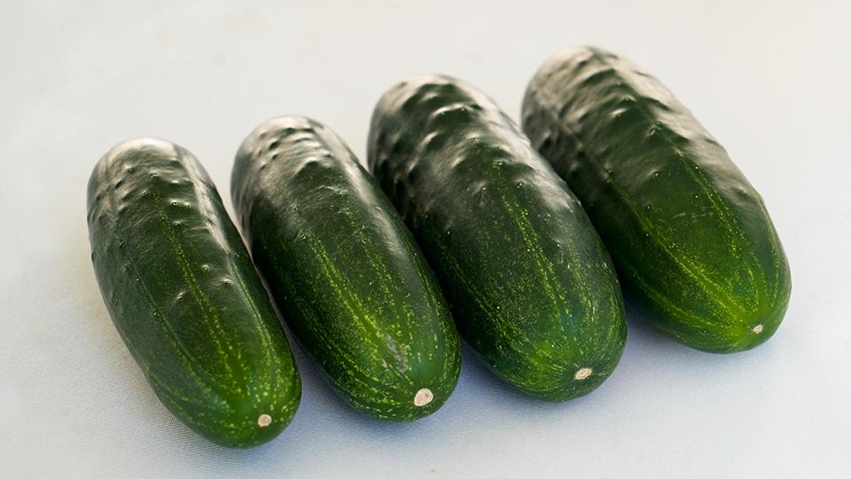 Super Max (Seedway)