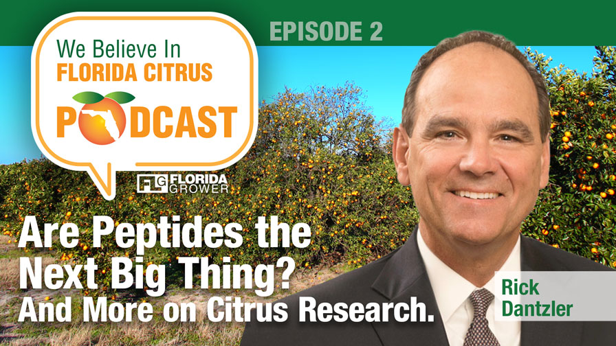 We Believe in Florida Citrus Podcast: Are Peptides the Next Big Thing?