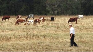 What Farmers Need To Know About Conservation Easements
