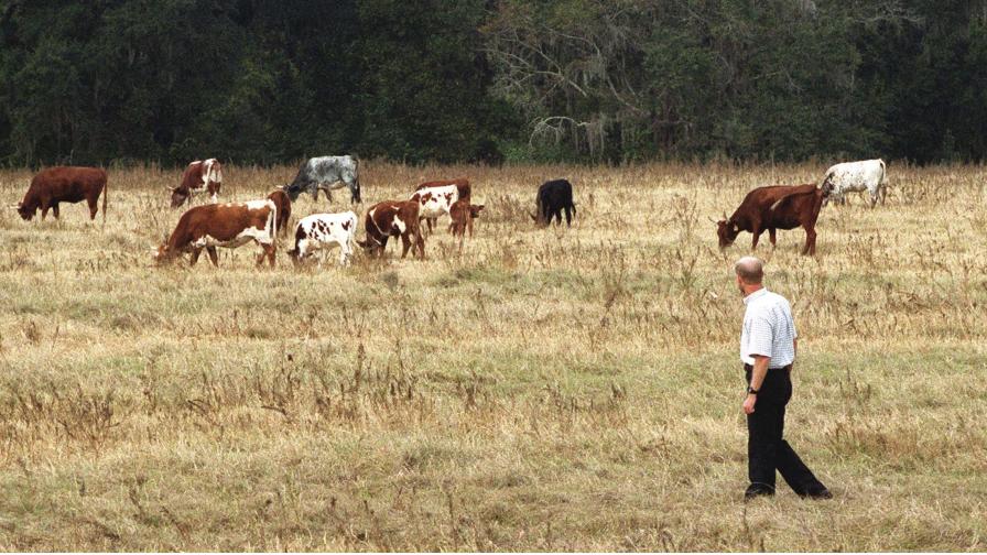 What Farmers Need To Know About Conservation Easements