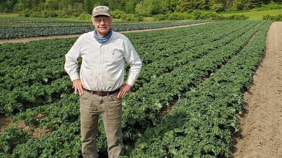 How Organic Production Can Be a Balancing Act for Vegetable Growers
