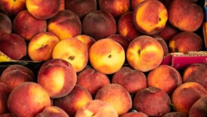 Looks Like They Made It: Texas Fruit Crops Thrive in Wake of Winter Freeze