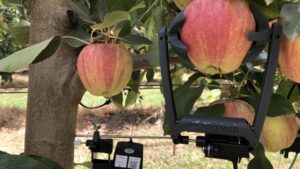 Irrigation Tips for Produce Growers: Dealing With the Dry Season