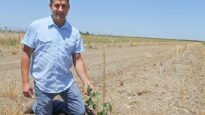 Max Yield in the Field: How Precision Irrigation Hits the Right Spot
