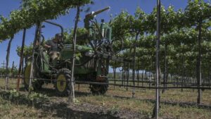 Labor Troubles in the Vineyard? Try a Machine