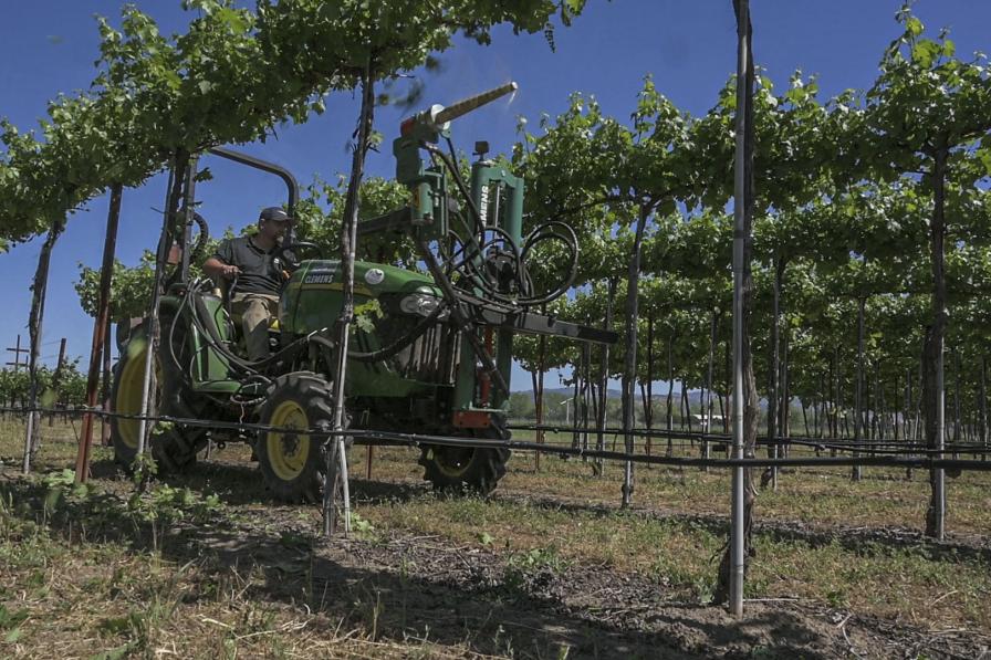 Labor Troubles in the Vineyard? Try a Machine