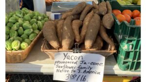 A Few More Yacon and Agritourism Tidbits, and an Unexpected Twist [Opinion]