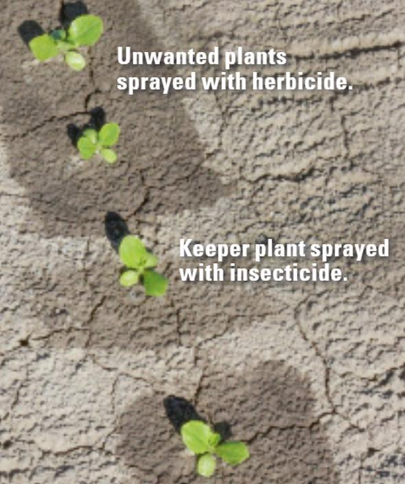 Smart sprayer details in the field