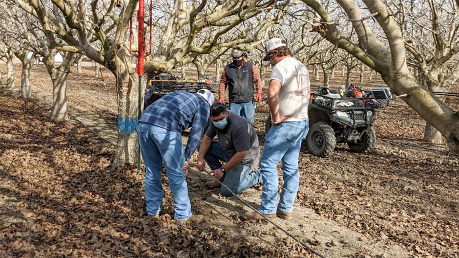 Soil moisture probe installation in the field