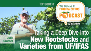 We Believe in Florida Citrus Podcast: Taking a Deep Dive into New Rootstocks and Varieties from UF/IFAS