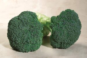 Emerald Crown (Sakata Seed America, Harris Seeds / Garden Trends Inc., Gowan Seed Company, and Rupp Seeds)