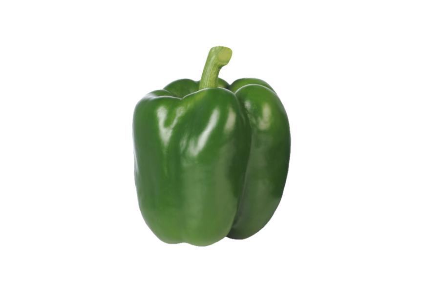 Placepack F1 (Enza Zaden USA, Inc.)