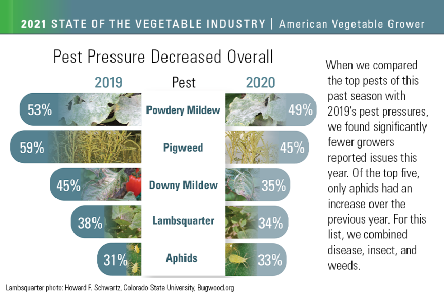 Pest Pressure