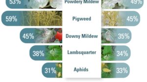 Top Insights from the 2021 State of the Vegetable Industry [Slideshow]
