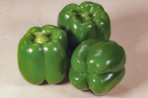 Standout (Syngenta Vegetable Seeds)