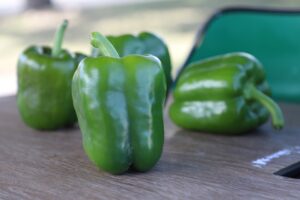 Turnpike F1 (Seminis and Harris Seeds/Garden Trends Inc.)