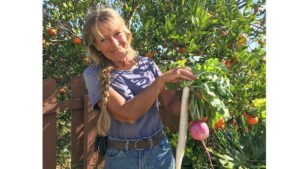 What Drove Production Increases for Vegetable Growers in the Last Year?