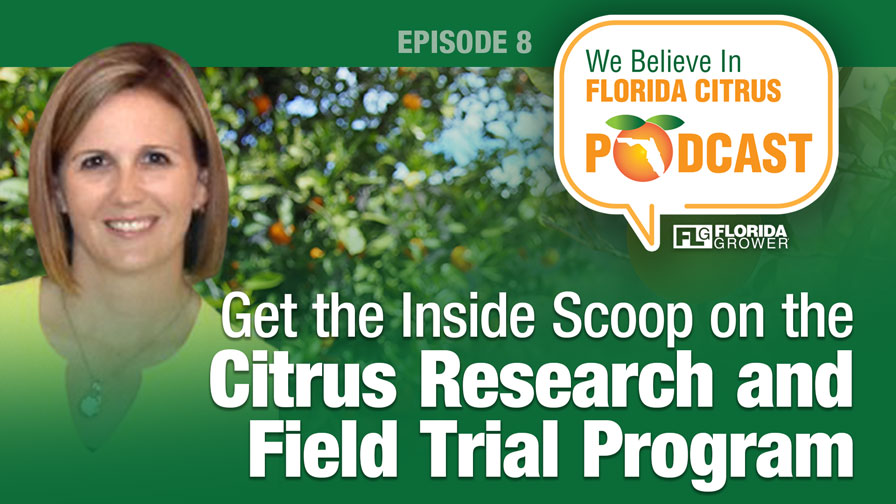 Get the Inside Scoop on the Citrus Research and Field Trial Program