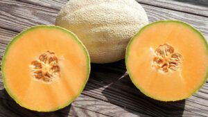 Cleopatra (Seneca Vegetable Research, Rupp Seeds)