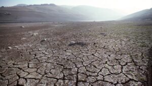 California Growers Get Early Drought Warning