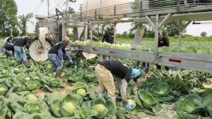 IFPA’s Take On the Top Issues Facing Produce Growers Today