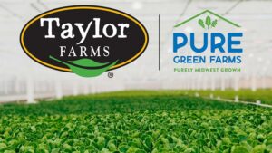 Taylor Farms Takes Inside Track to Power Up Greenhouse Production