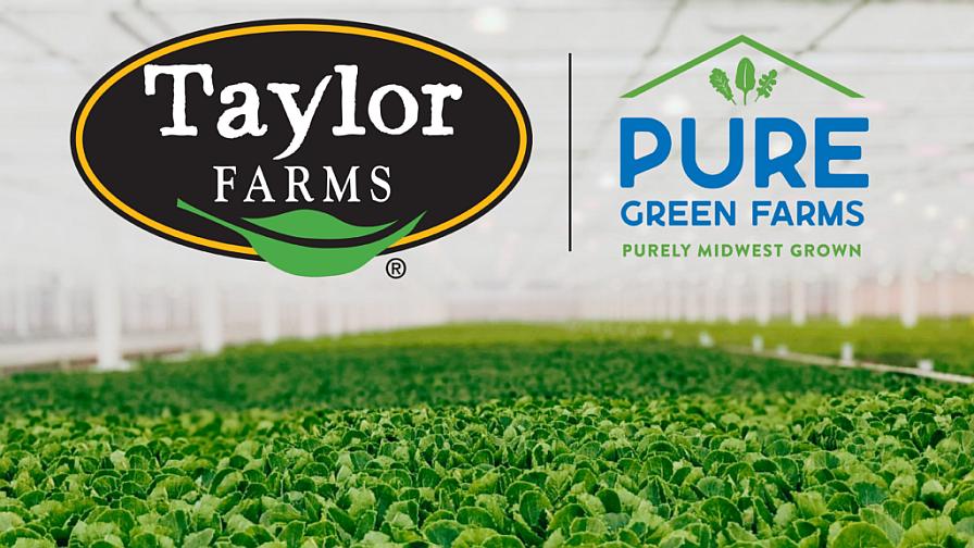 Taylor Farms Takes Inside Track to Power Up Greenhouse Production