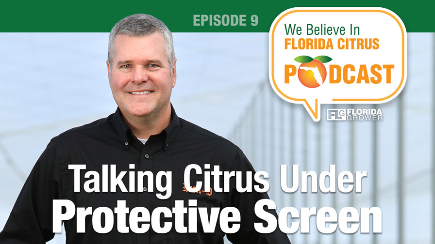 We Believe in Florida Citrus Podcast: Talking Citrus Under Protective Screen