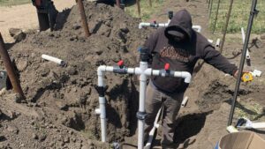 Latest Irrigation Information Worth Tapping Into for Produce Growers
