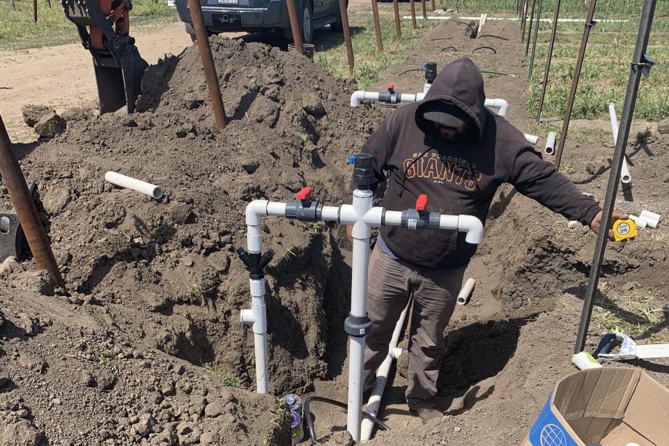 Latest Irrigation Information Worth Tapping Into for Produce Growers