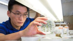 Journey into Citrus Microbiome Could Yield Big Plant Health Potential