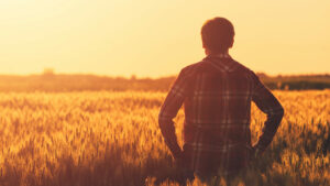 5 Fundamentals To Help Maximize Your Crop Performance