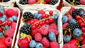 Fruitful Prospects Continue To Flourish for Berry Growers Today