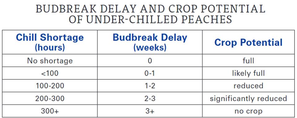 Budbreak in peaches study chart