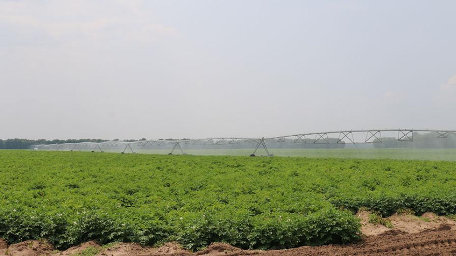 Momentum Grows in Framework for New Farm Bill Legislation