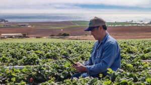 What’s Being Done To Tighten up Supply Chain in the Food Industry