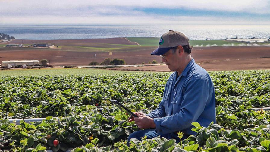 10. Federal and state food safety compliance requirements