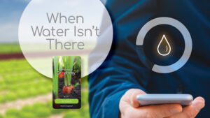 What to Do When Water Isn’t There