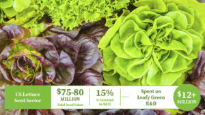 Grower’s Insight Into Seed Innovations
