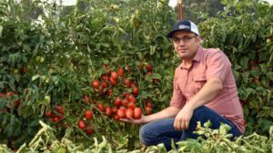 Vegetable Breeders Dig Deep To Find Ultimate Food Crop Hat Trick