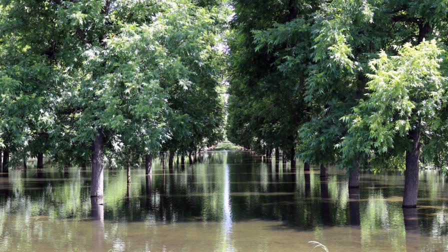 To the Water Wise: On-Farm Recharge a Solution for Nut Growers