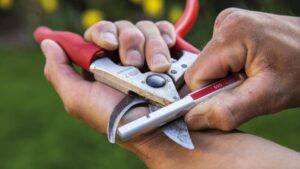 Are You in Need of Orchard Equipment? Act Now