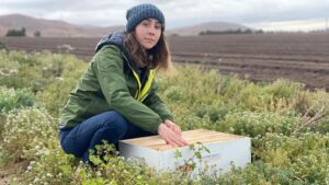 Tough Sustainable Standards Are Driving Big Changes for Vegetable Growers