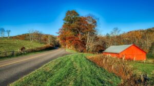8. North Carolina