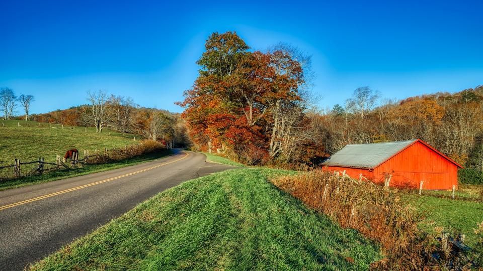8. North Carolina