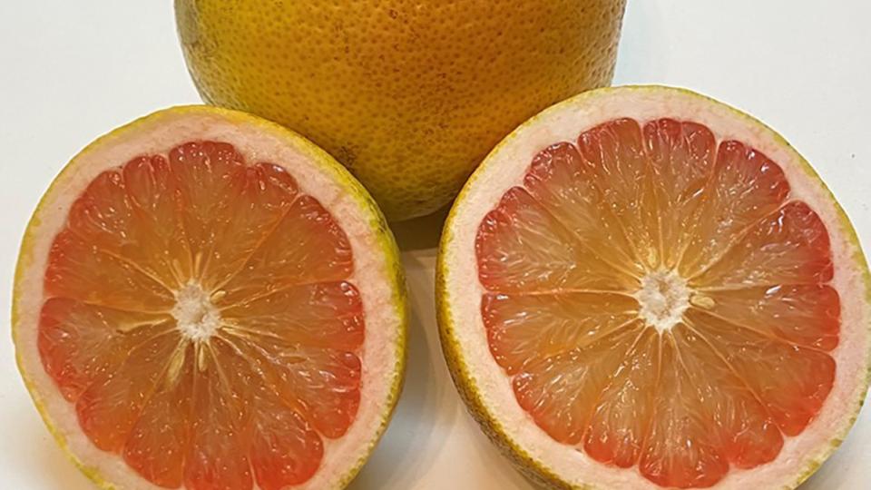 Good to Grow: Check out the Latest Developments on the Grapefruit Front
