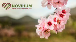 Adding Humus Essential to Nut Trees Growing in Soils Low in Organic Matter