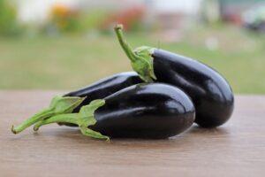Picasso (Pure Line Seeds, Stokes Seeds Inc.)