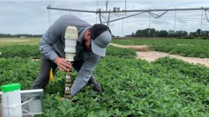 Being a Water Watcher Comes Natural for This Florida Grower