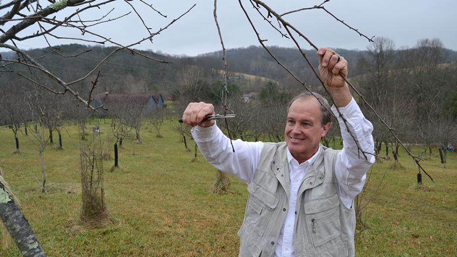 Cheers to Fruit Grower Goodwill in Gdańsk